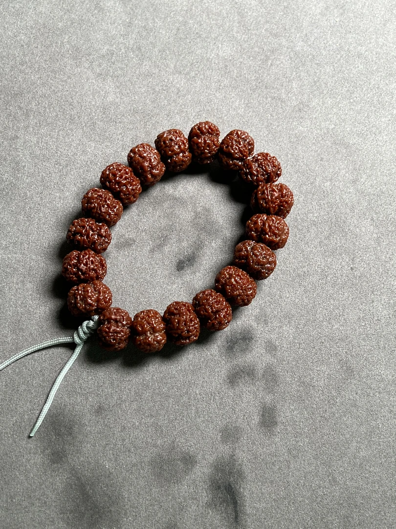 原生态天然籽【红龙】超矮飞碟大金刚【出水图】