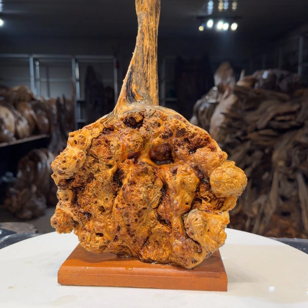 宏***构木王一刀琥珀木摆件36