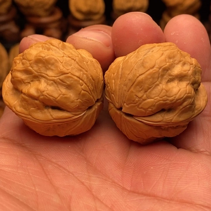 文玩核桃把件16大金刚鹦鹉