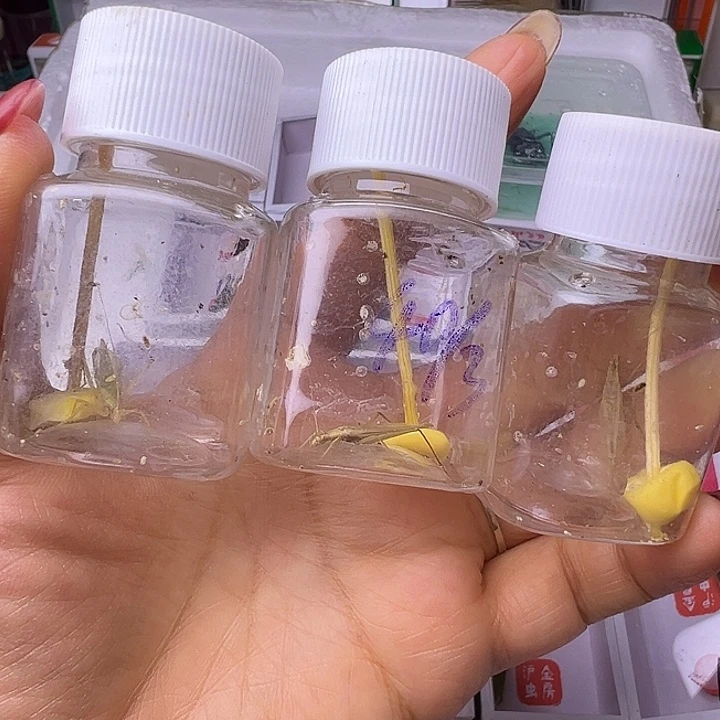 *****哈哈哈哈哈哈哈哈哈哈哈哈哈哈