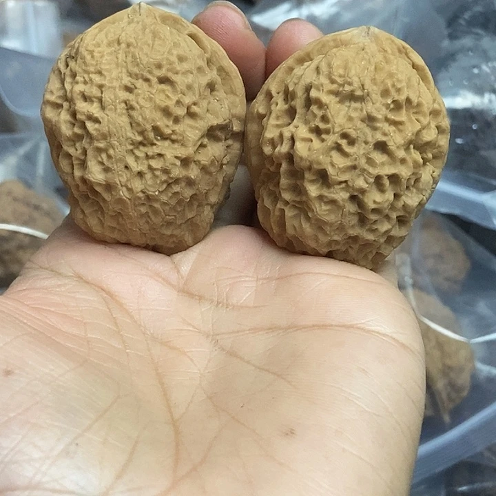 文玩核桃把件云南铁核桃基地32