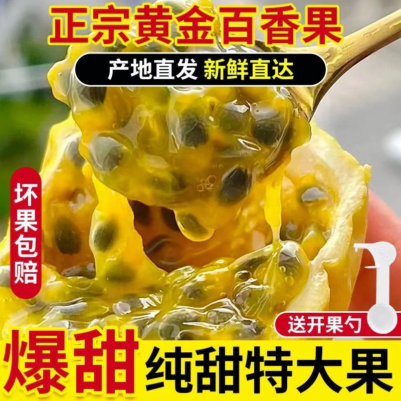 黄金果钦密9号现摘现发新鲜发货皮薄水果多汁果肉饱满满