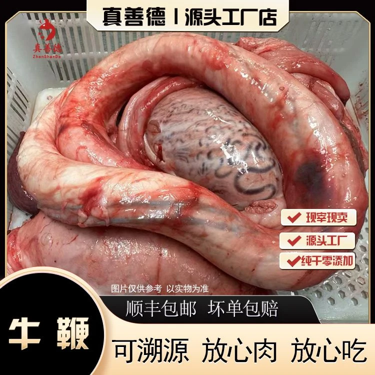 《现宰牛三宝鞭》整套正宗新鲜营养国产整套屠宰场顺丰牛鞭包邮
