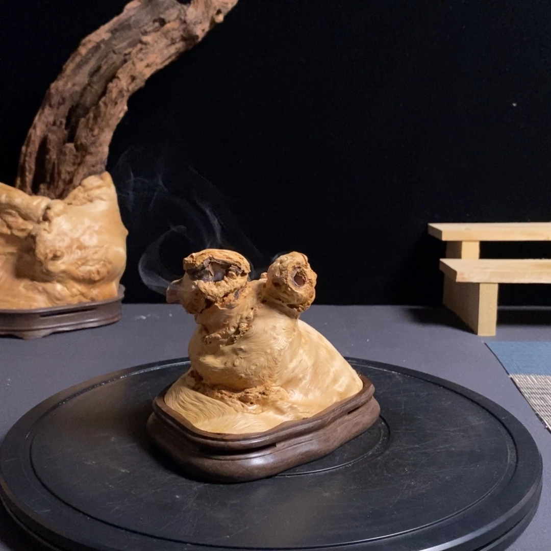 木荔枝木直播间链接