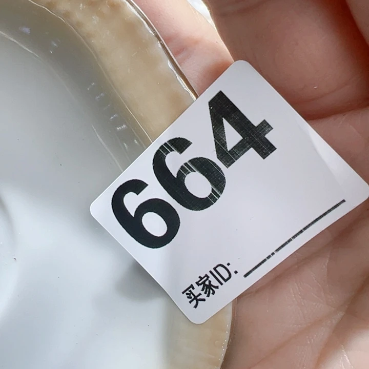 瓷片咯*Dogxyoyocoyfyofofy