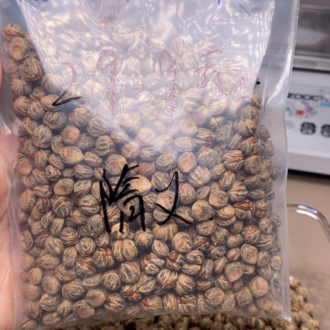 隋***义柏香籽/百香籽吊坠