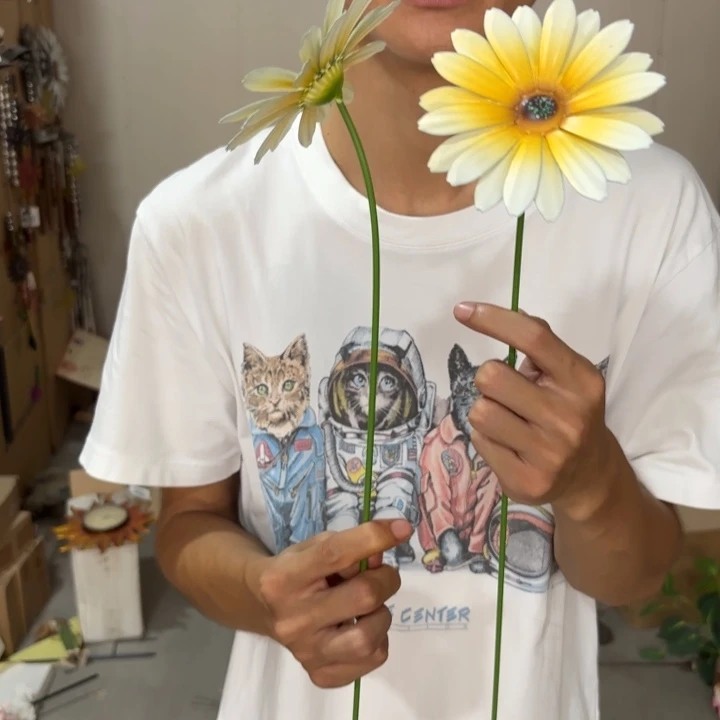 盖碗样品样品样品雏菊