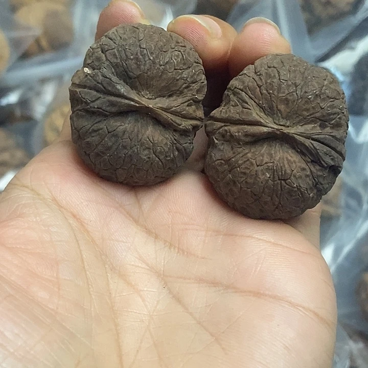 文玩核桃把件云南铁核桃基地82