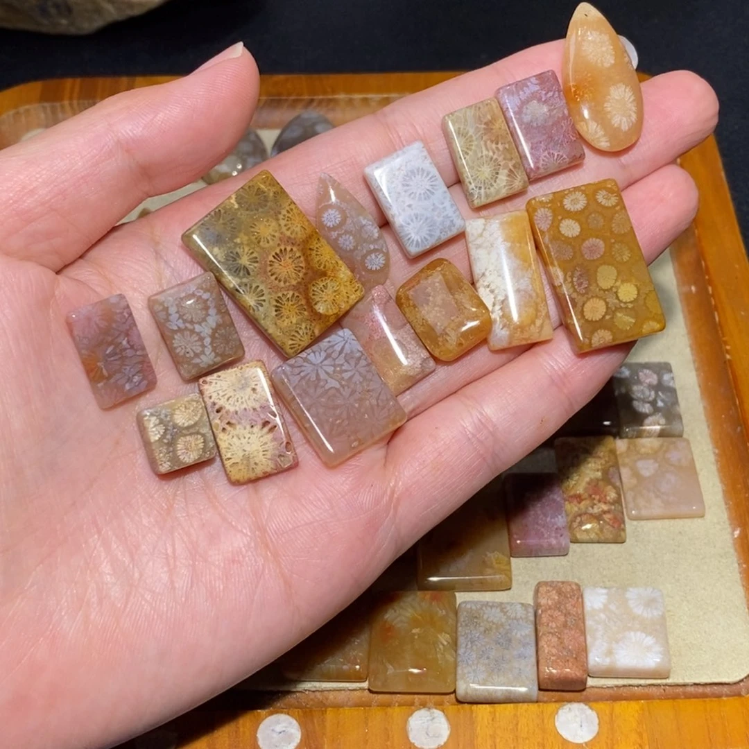 【闪购商品】硅化玉珊瑚玉未镶嵌十