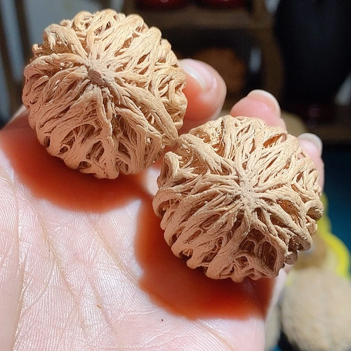 野生金丝果菩提手把件35