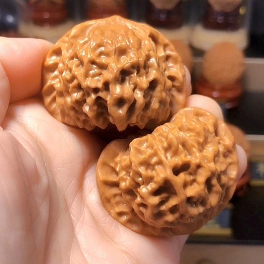 野生精品：油蜡皮玄月