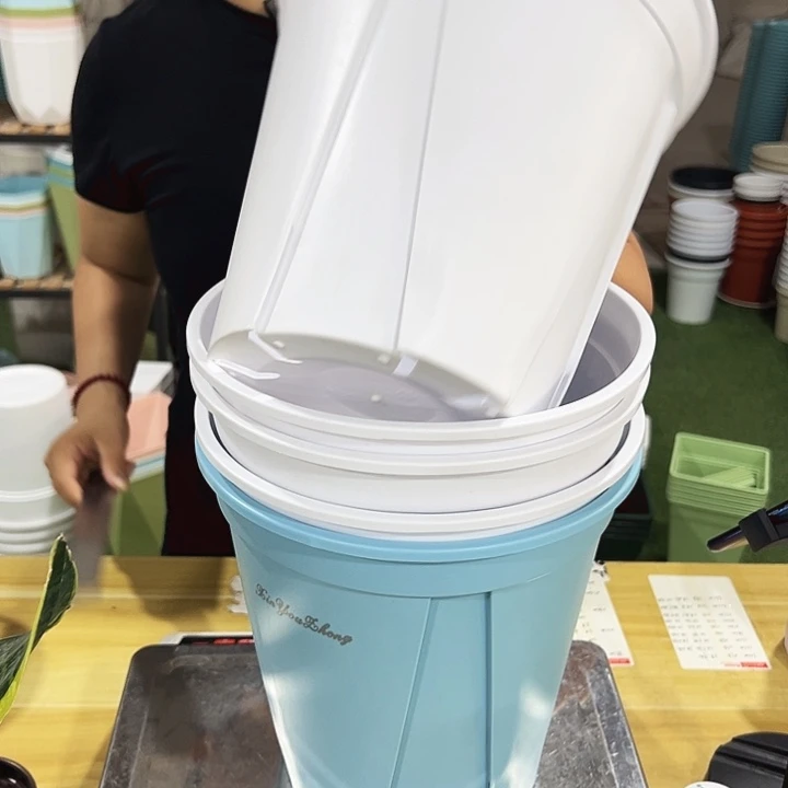 青山240口24高24混色无托5只