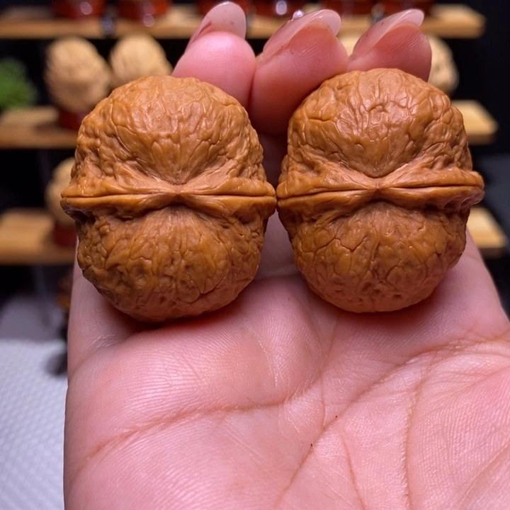 木质类云铁保山化石11号39尺