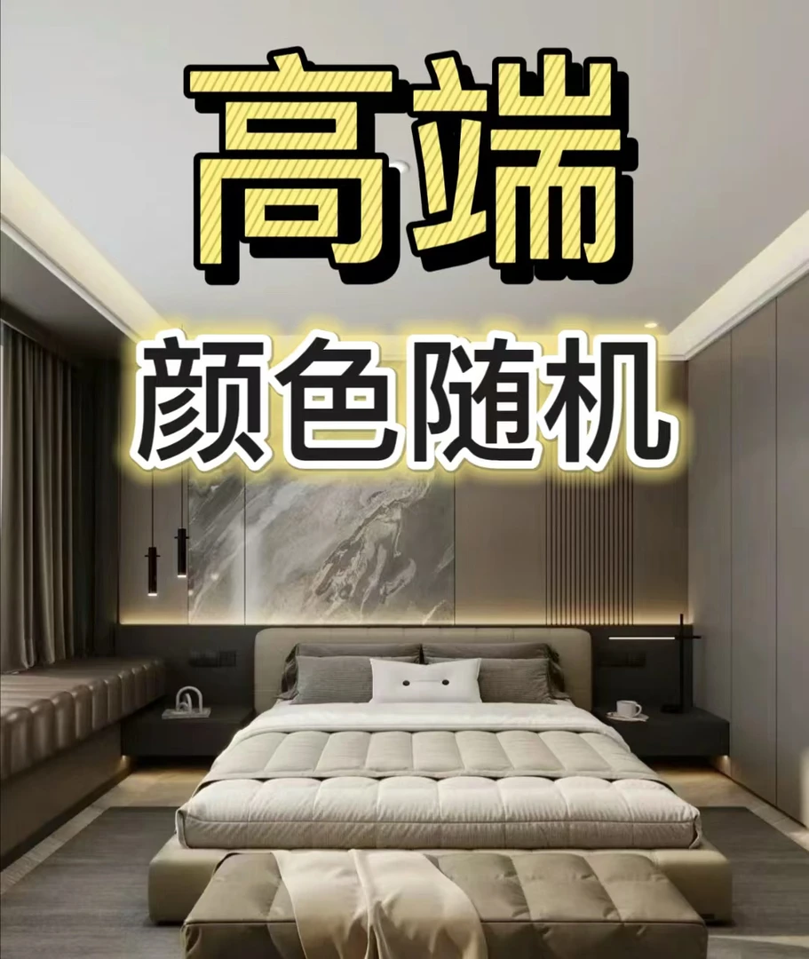 （JING）随机发货印花款-品牌立体加厚羽绒冬被