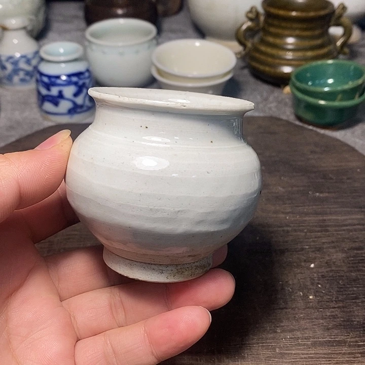 老物件老物件水芋