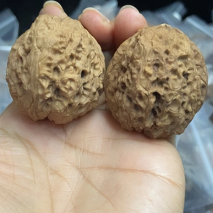 文玩核桃把件云南铁核桃基地76