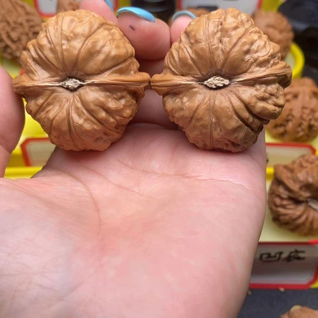 奶***生菩提籽类南瓜墩墩