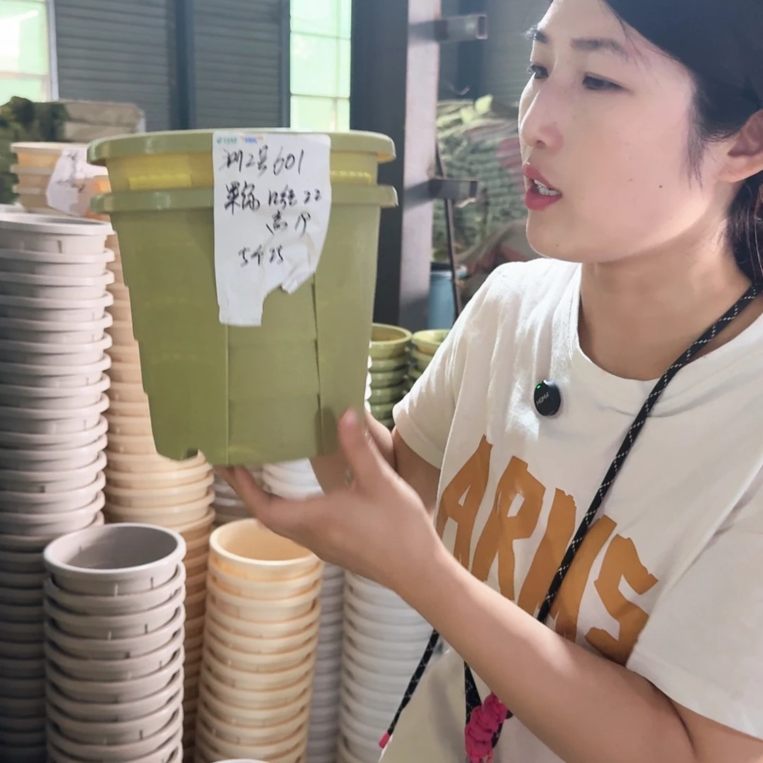 测2灰白色无拖6个