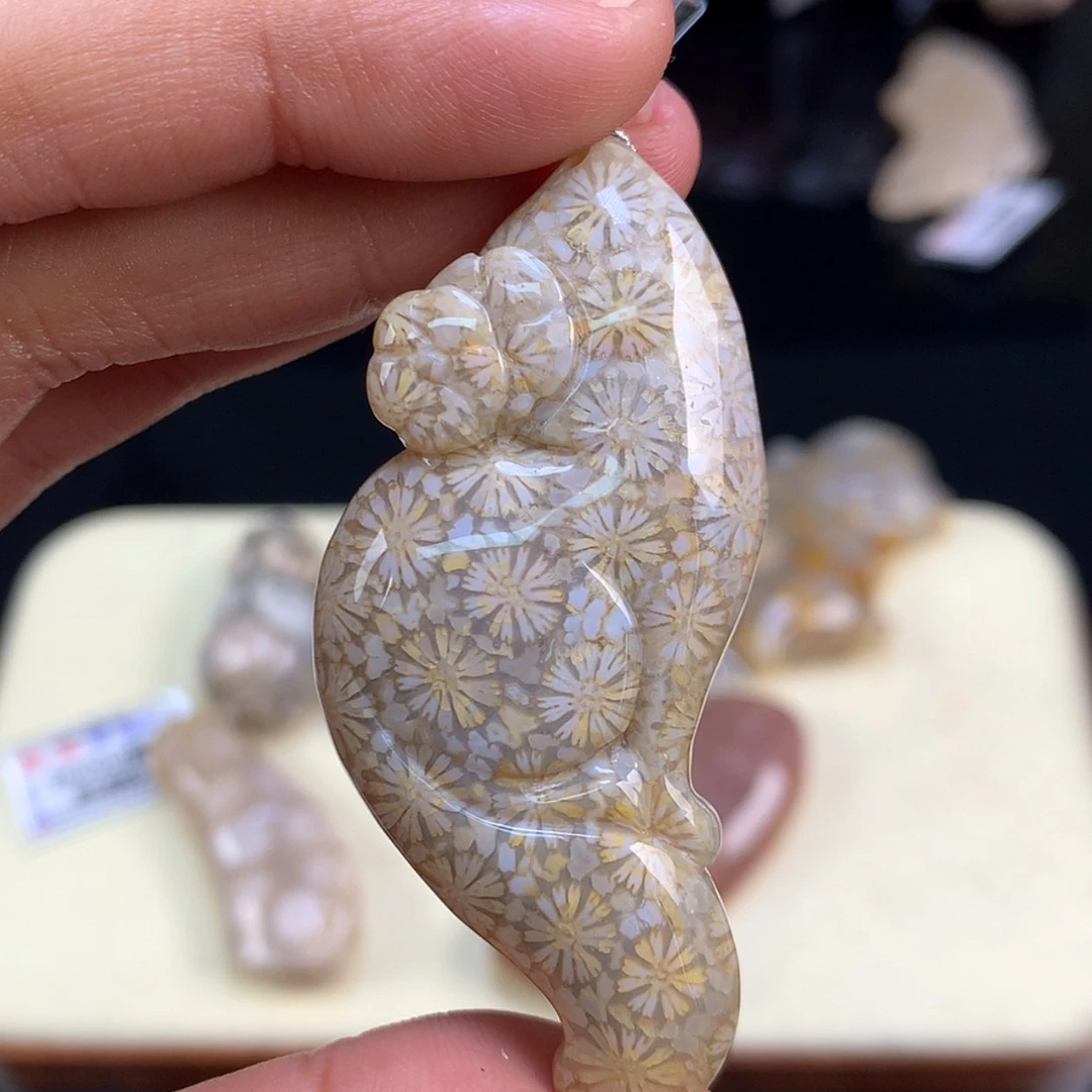 【闪购商品】颈饰未镶嵌硅化珊瑚（珊瑚玉）68号星星猫