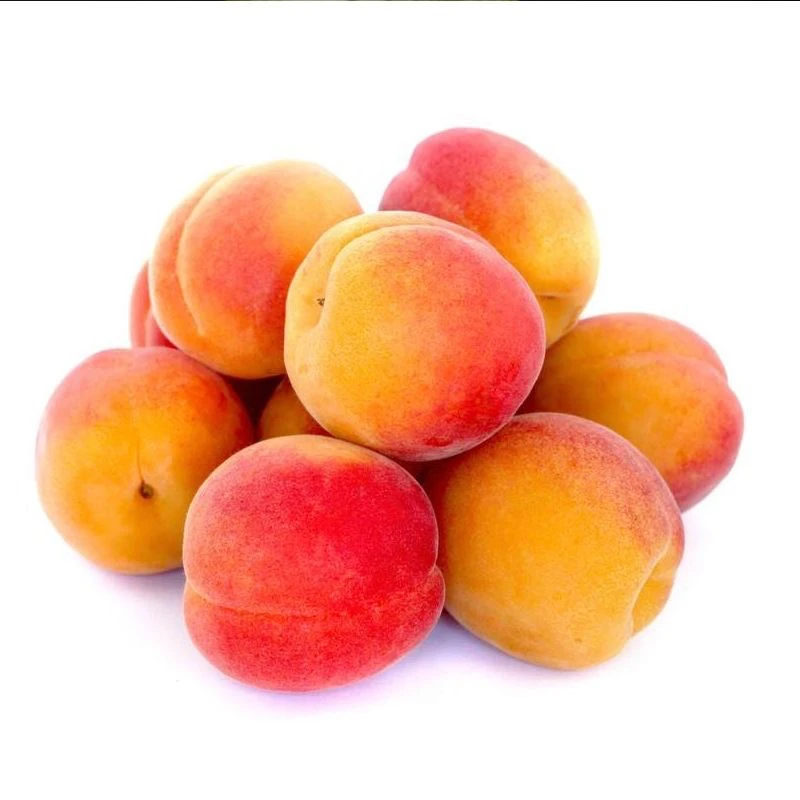 【红梅杏儿】杏子（箱/散装带箱5斤）先挑黄的吃