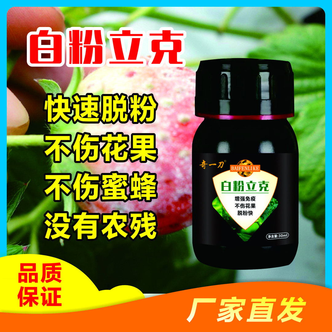 奇一刀白粉立克不伤花果蜜蜂白粉一喷消安全无农残一喷三防