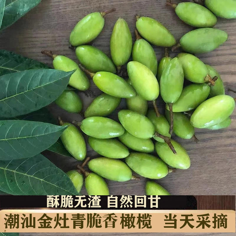 潮汕金灶正宗青脆香橄榄 酥脆甘香