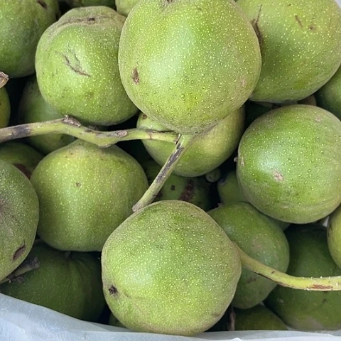 文玩核桃青皮不退不换