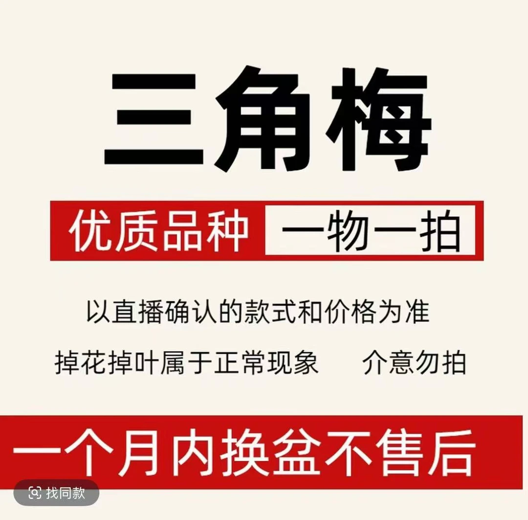 三角梅直播间一物一拍专用链接
