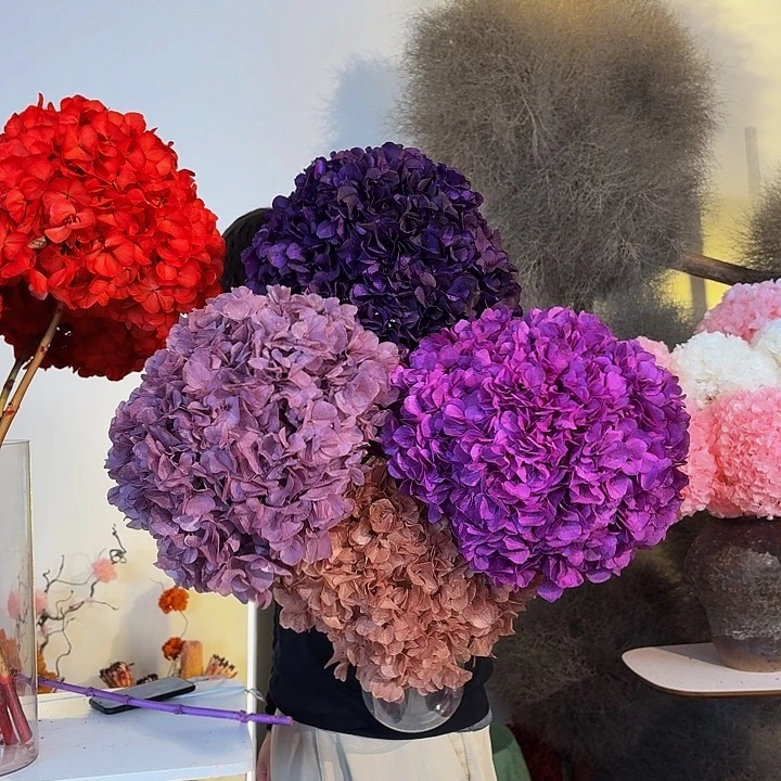 漂色绣球，奶茶1紫罗兰1深粉紫1奶茶1