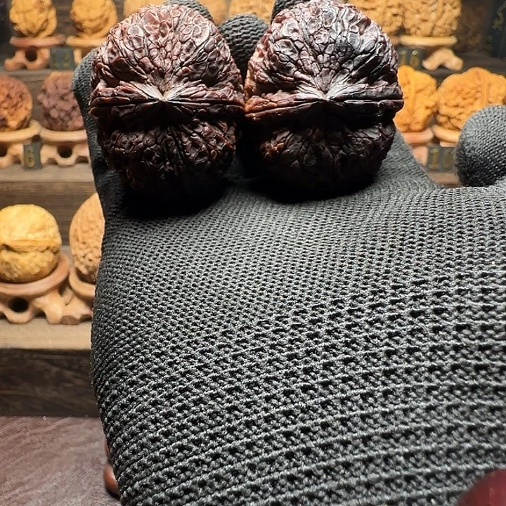 木质类蛟龙元宝44尺云铁精品