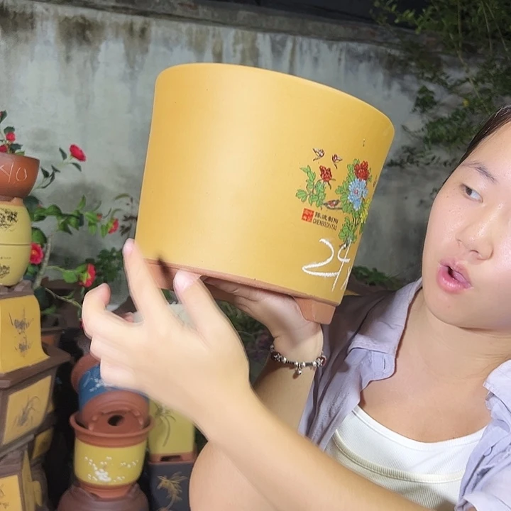 花开富贵特大号一个