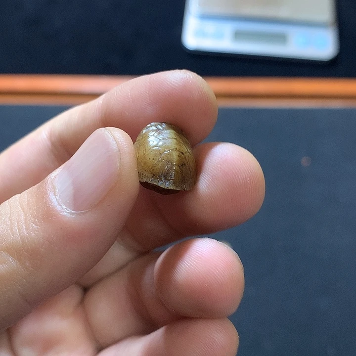 橄榄核手串猛犸猛犸猛犸猛犸D16