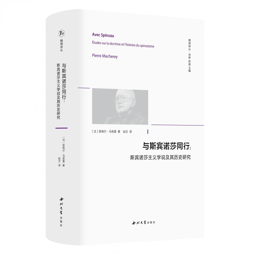 与斯宾诺莎同行：斯宾诺莎主义学说及其历史研究