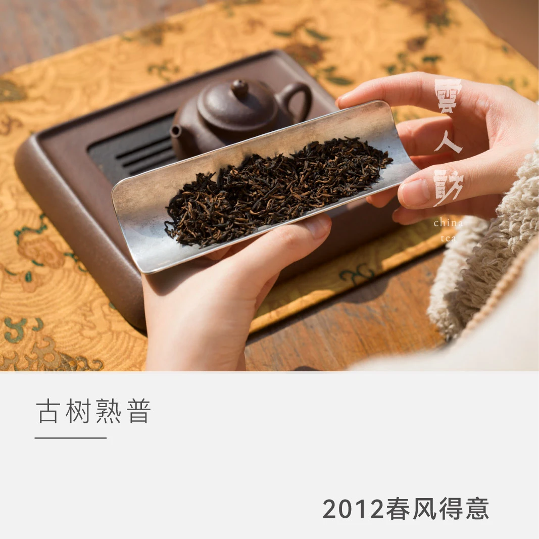 【春风得意】春季限定 古树普洱熟茶 云人访