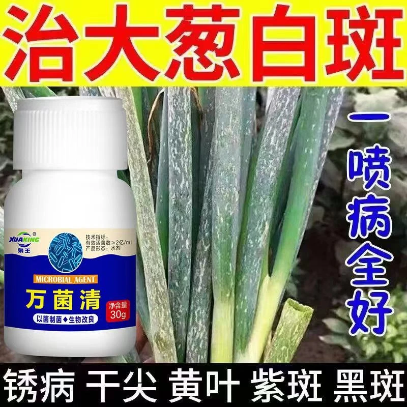 大葱病全大葱专用微生物肥料灰霉叶枯疫根腐锈黑斑大葱专用叶面肥