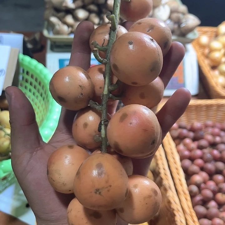 噗***✧云南野生三吖果酸甜
