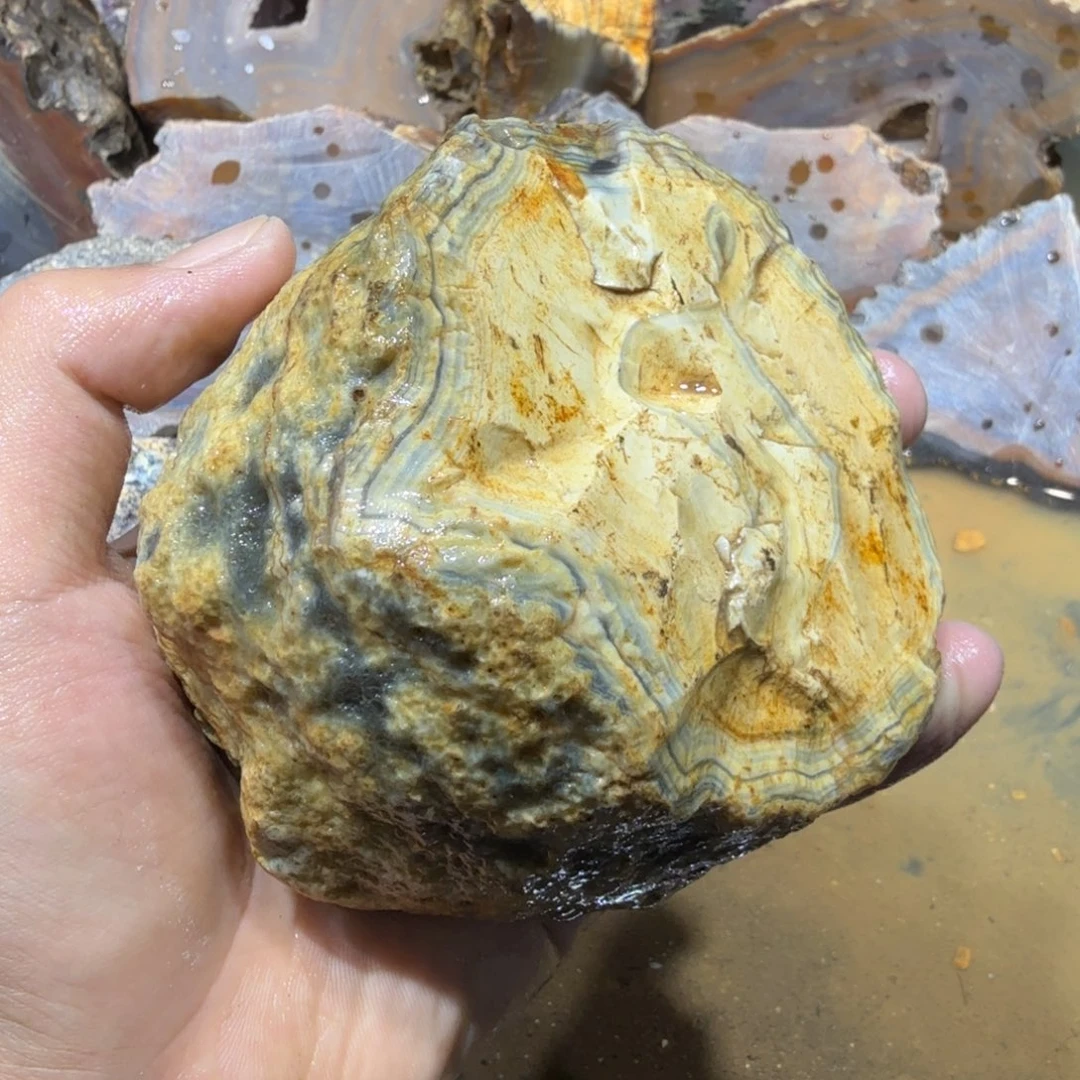 未镶嵌玛瑙/玉髓珠宝半成品