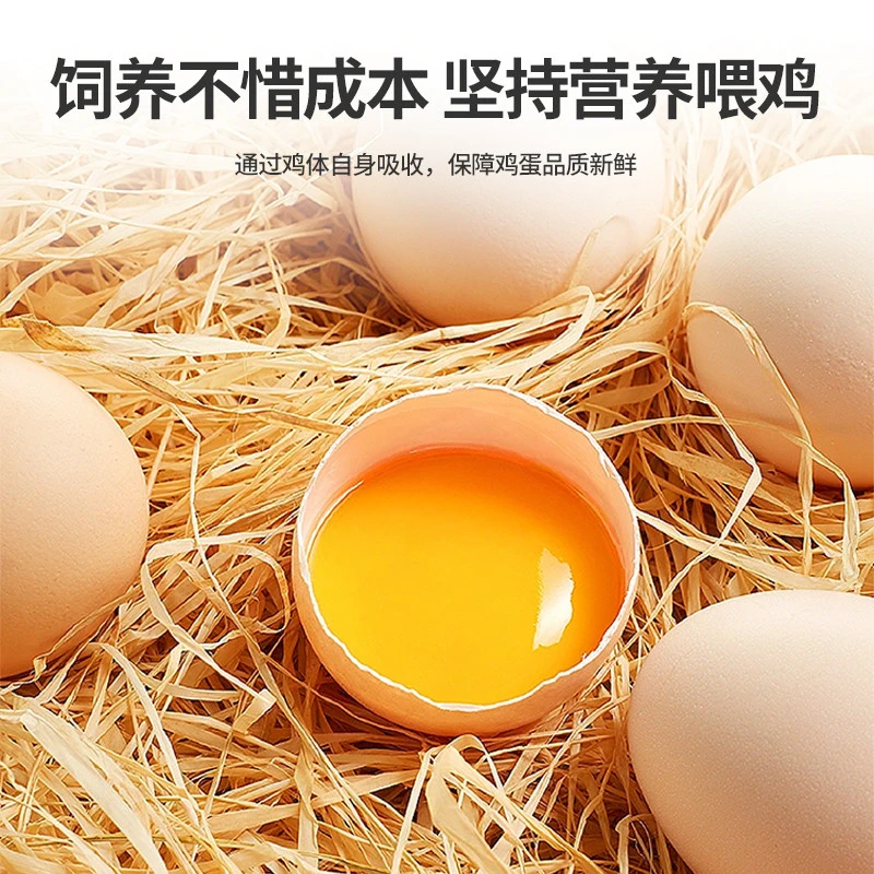 德青源蛋黄液巴氏杀菌蛋黄液提拉米苏蛋挞蛋黄液虎皮蛋黄液商用