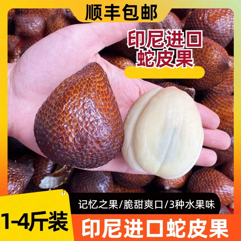 印尼进口蛇皮果1斤 2斤 4斤装  坏果包赔/新鲜鲜果