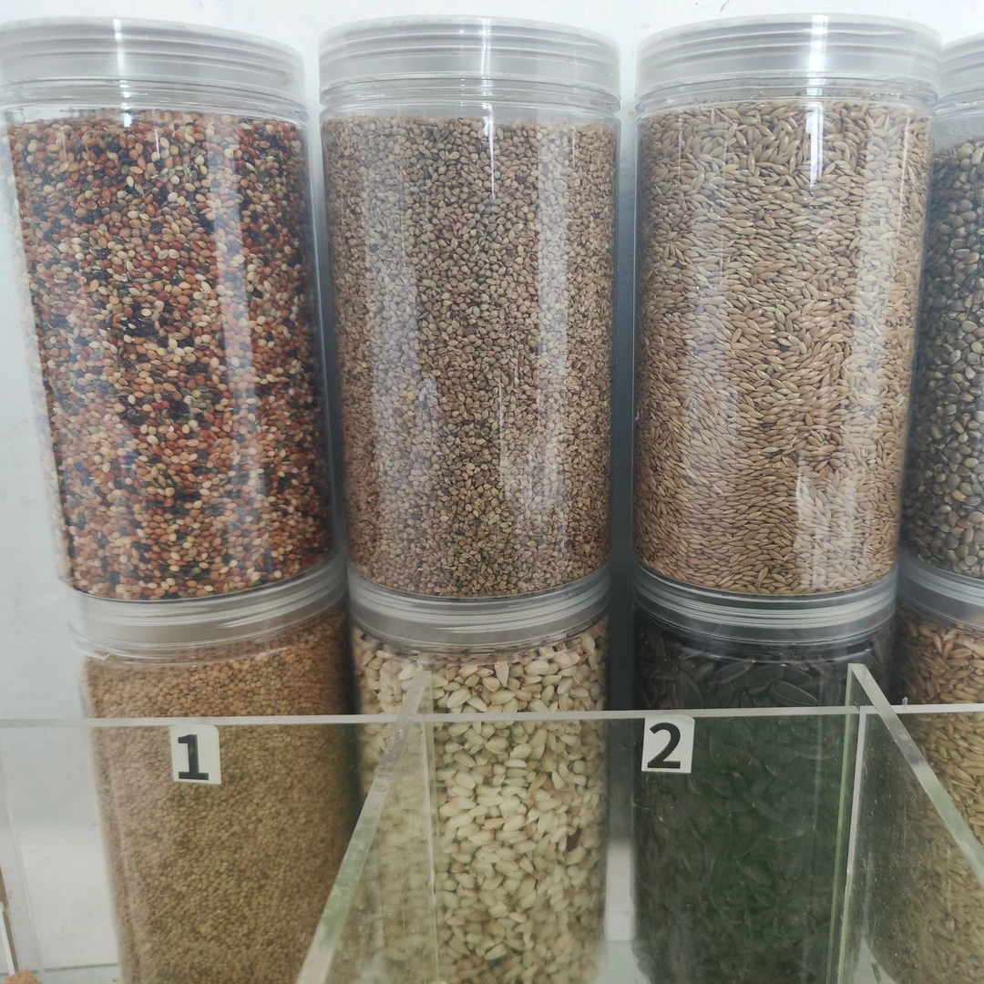 鹦鹉罐装混合粮 黄谷子 燕麦 黍子 稗子 红花籽 油葵 加纳 麻子