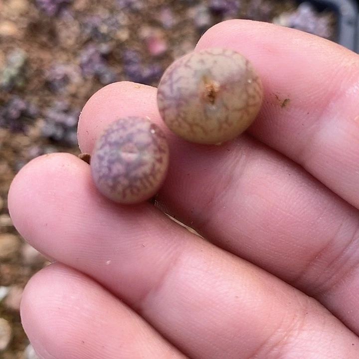 26611一组吕红杂墨