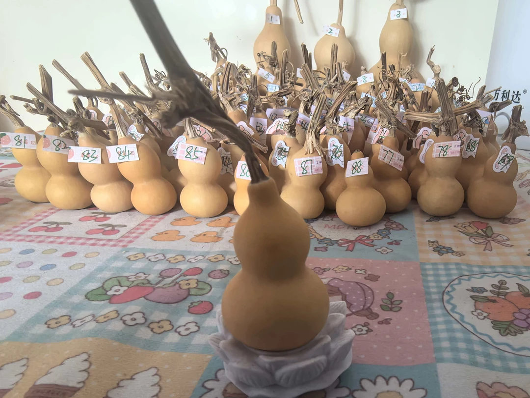 天然带龙头小葫芦手把件可盘玩的文玩福禄葫芦79