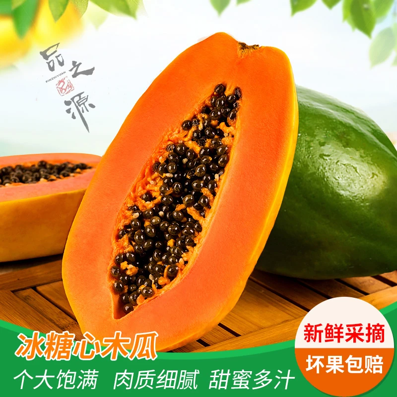 木瓜新鲜红心木瓜冰糖心木瓜牛奶木瓜热带水果树上熟现摘现发整箱