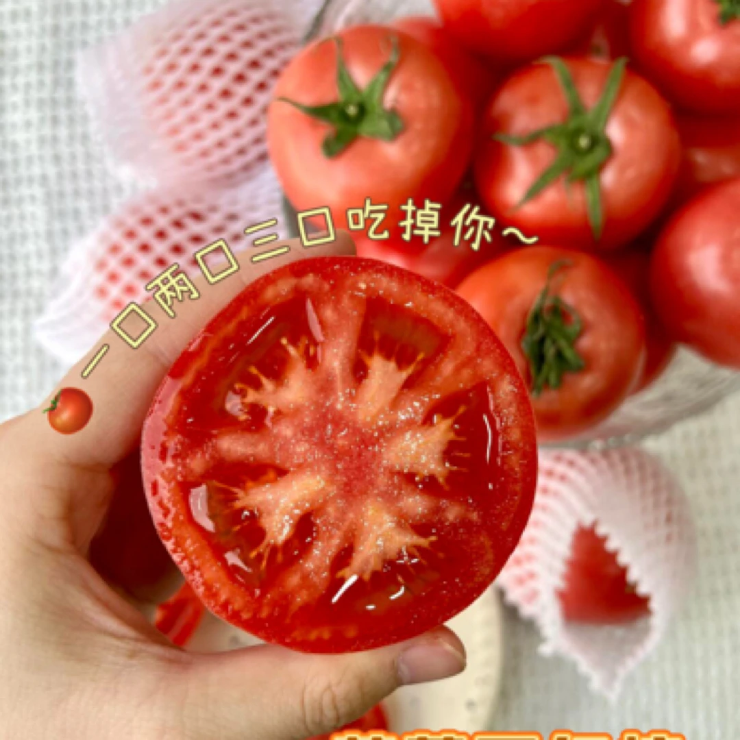【鲜也】草莓西红柿（500克）