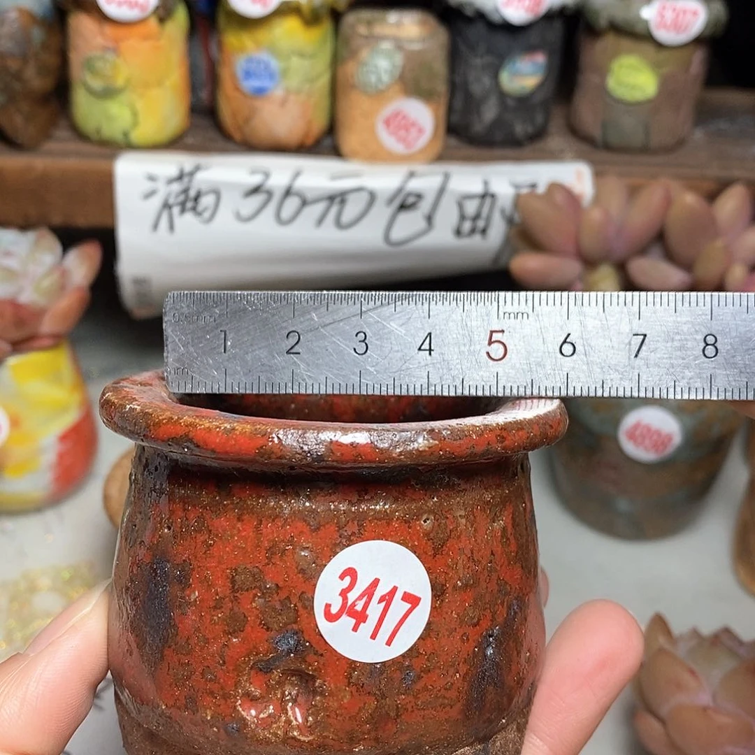 红陶拍5送一个小