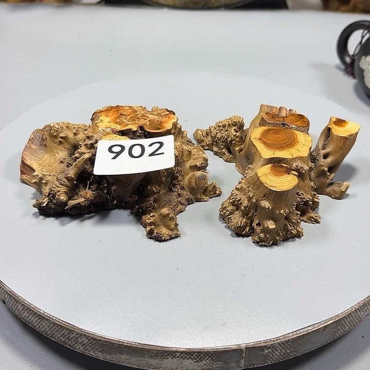 大果紫檀（缅甸花梨）呱**啾