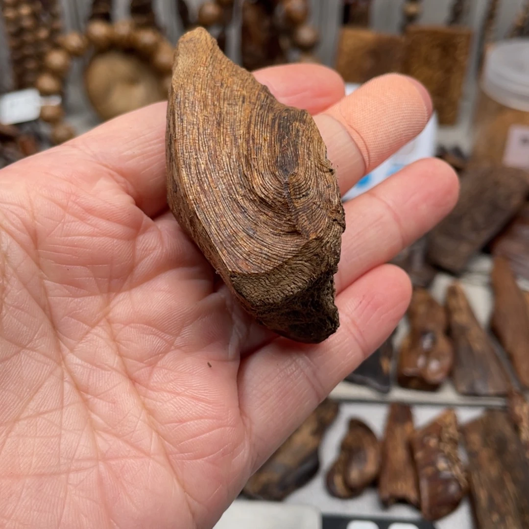 沉香碎屑沉香加里曼丹7.5+