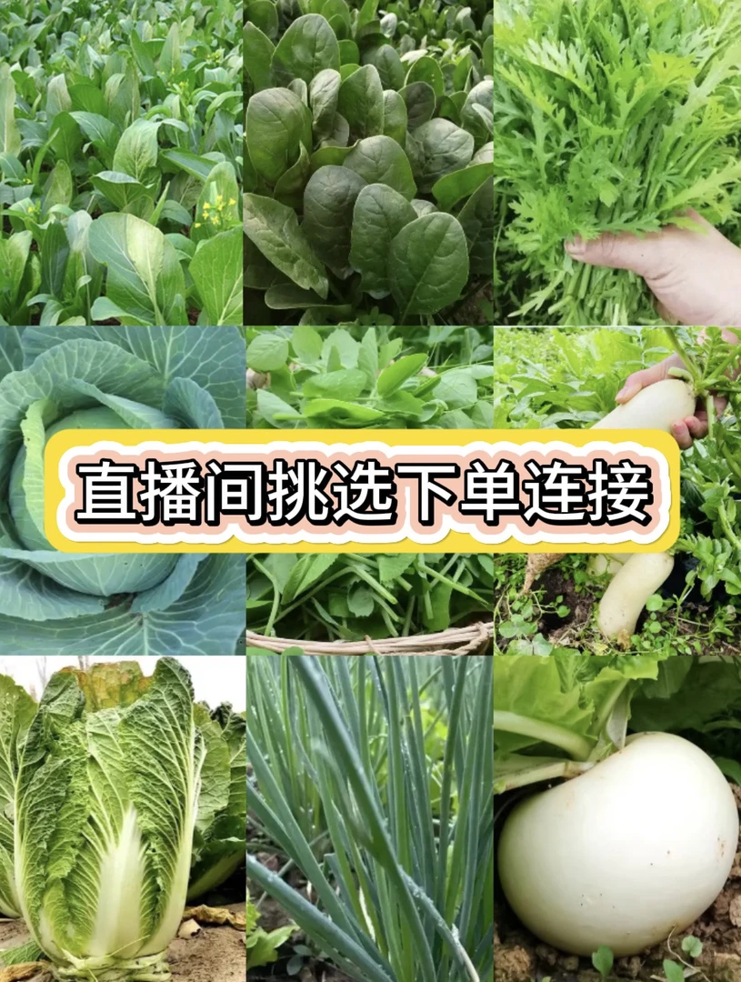 直播间新鲜蔬菜农产品挑选下单连接