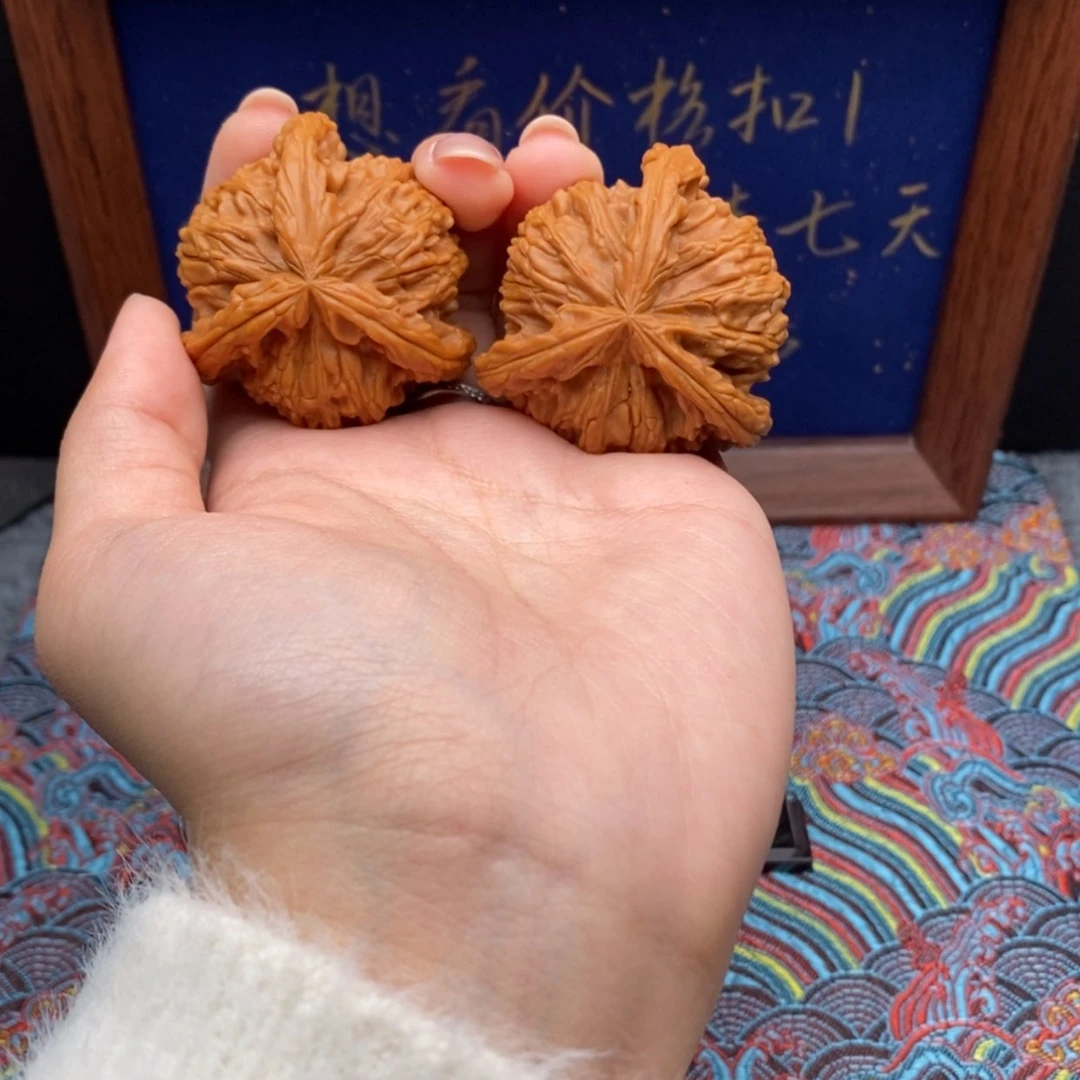 【闪购商品】没**字白狮