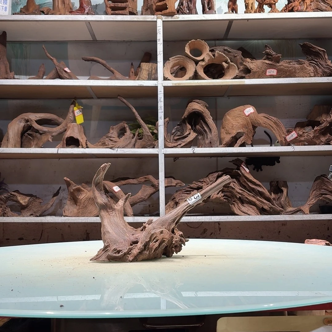 倍褚沉木不包损必褪色0103